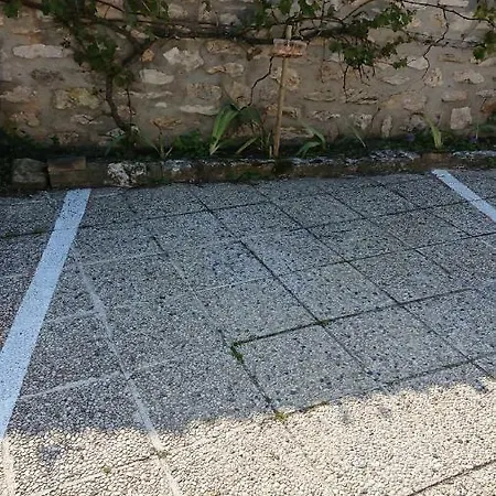 Le Bangor Coon Forges (Seine-et-Marne)